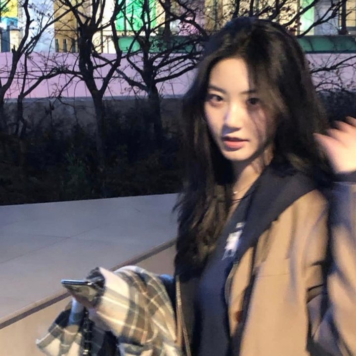 罗伯特·布鲁斯